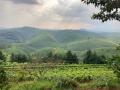 Race-Around-Rwanda_wts-coaching_gravel-bike-utra-endurance_stage4-6