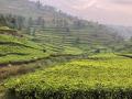 Race-Around-Rwanda_wts-coaching_gravel-bike-utra-endurance_stage2-16