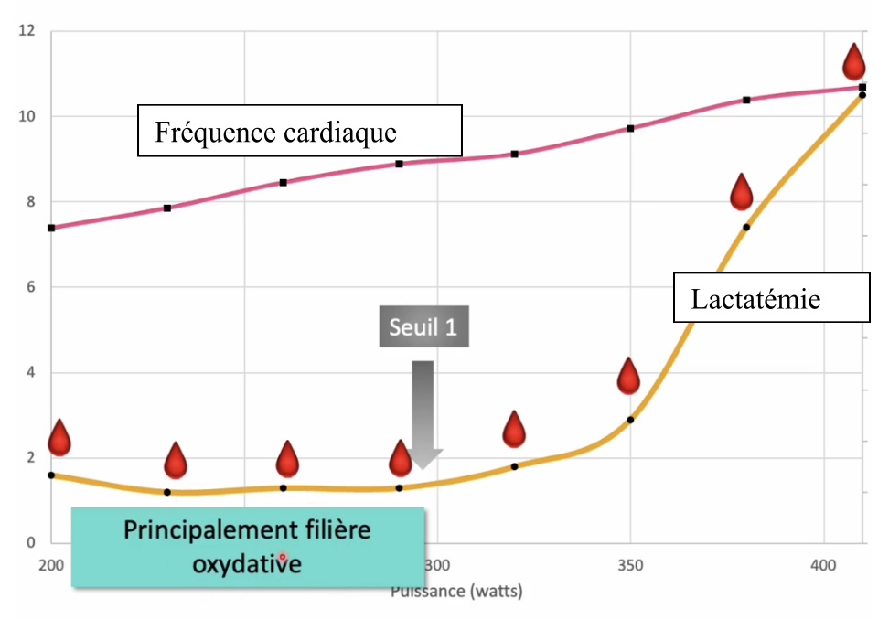 Quand vous relevez une différence d’au moins 0,5 mmol entre deux paliers, vous avez atteint le seuil 1, souvent corrélé au FATMAX, le maximum possible du système oxydatif.
