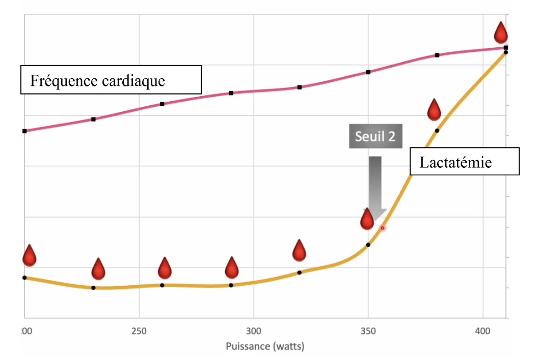 Le lactate augmente légèrement à chaque palier ; quand vous observez une différence d’au moins 1 mmol/L entre 2 paliers, vous avez atteint le seuil 2.