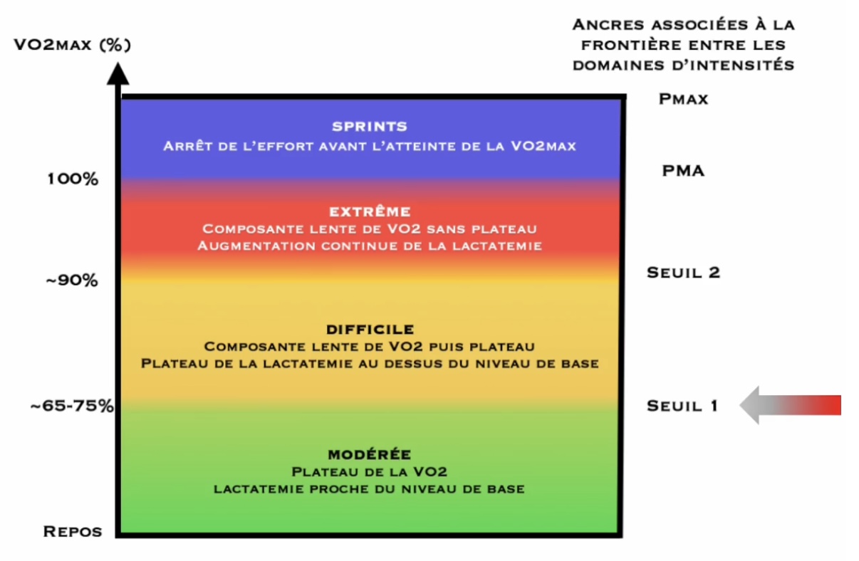 Mesure des lactates : quand vous avez déterminé vos seuils, vous pouvez placer vos zones d’intensité à l’aide des résultats des tests.