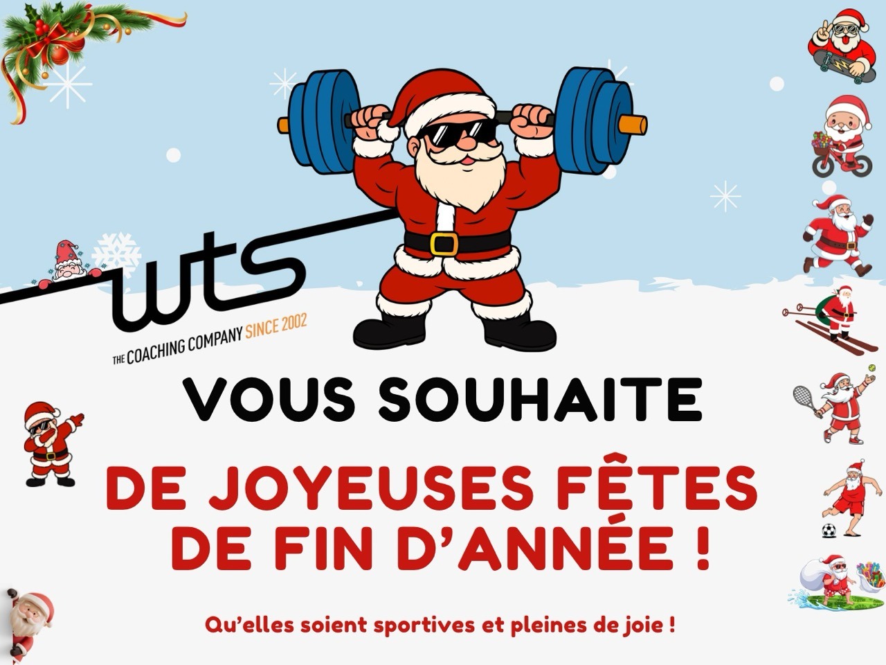 WTS Coaching vous souhaite un joyeux noel !